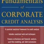 Standard & Poor's Fundamentals of Corporate Credit Analysis / Edition 1