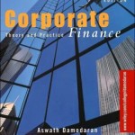 Corporate Finance: Theory and Practice / Edition 2