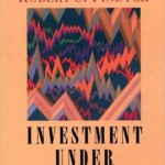 Investment under Uncertainty / Edition 1